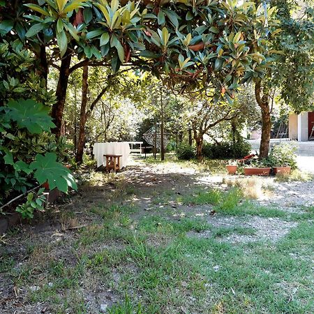 מלון קובולטי Str.Agmashenebeli 548 מראה חיצוני תמונה